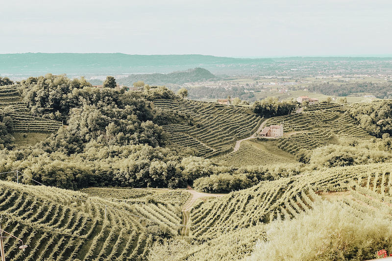 The Veneto Hillsides